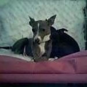 Meet your Posher, Ann marie